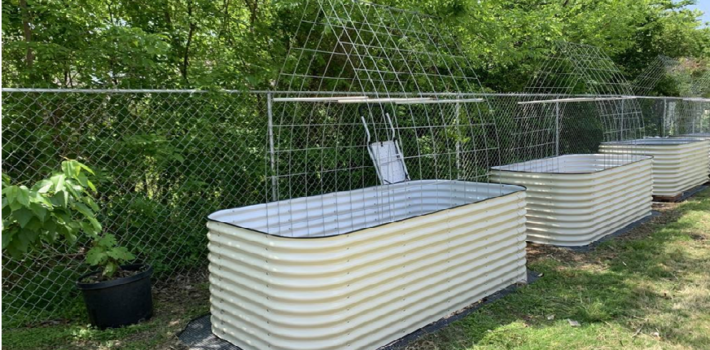 Raised Garden Bed Checklist