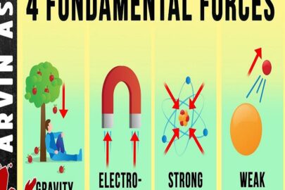 Fundamental Forces of the Universe