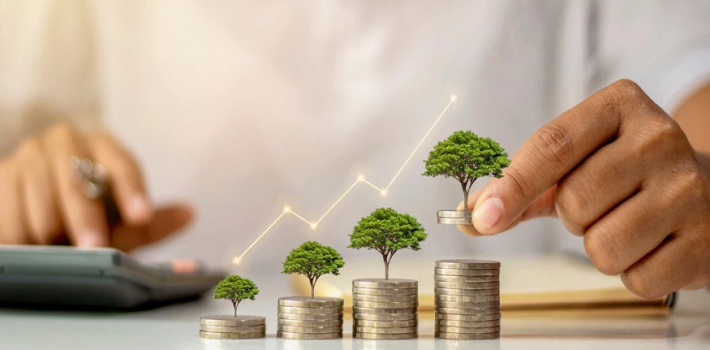 Investment Opportunity