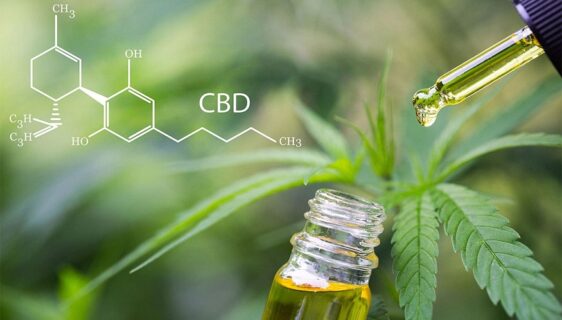 THC Oil to Alleviate Pain