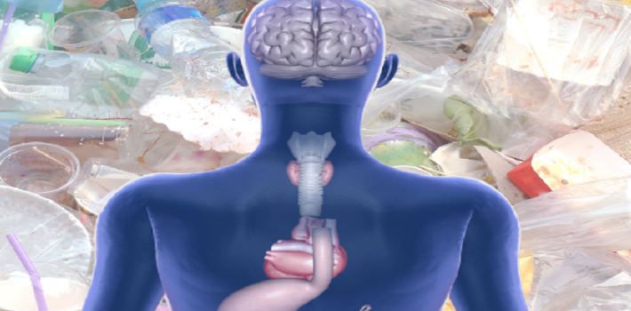 Human Health