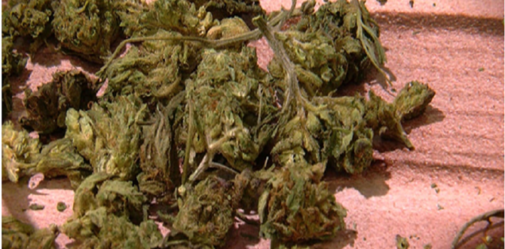 CBD Flower